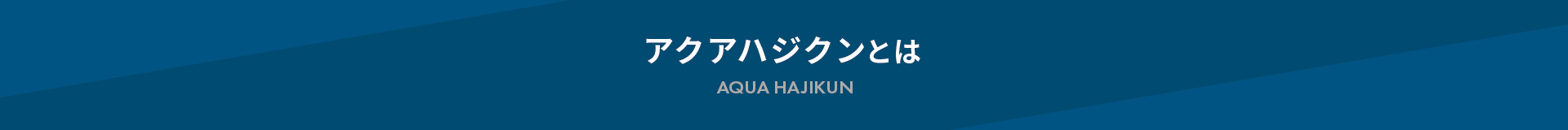 アクアハジクンとは